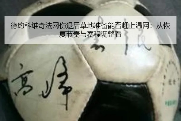 德约科维奇法网伤退后草地准备能否赶上温网：从恢复节奏与赛程调整看