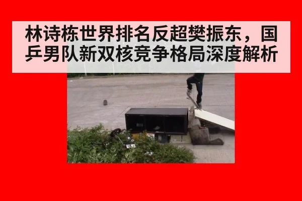 林诗栋世界排名反超樊振东，国乒男队新双核竞争格局深度解析
